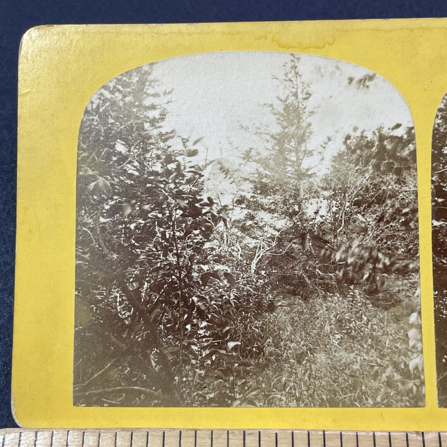 Antique 1870s Mount Monadnock Near Diana's Peak Stereoview Photo Card V2108