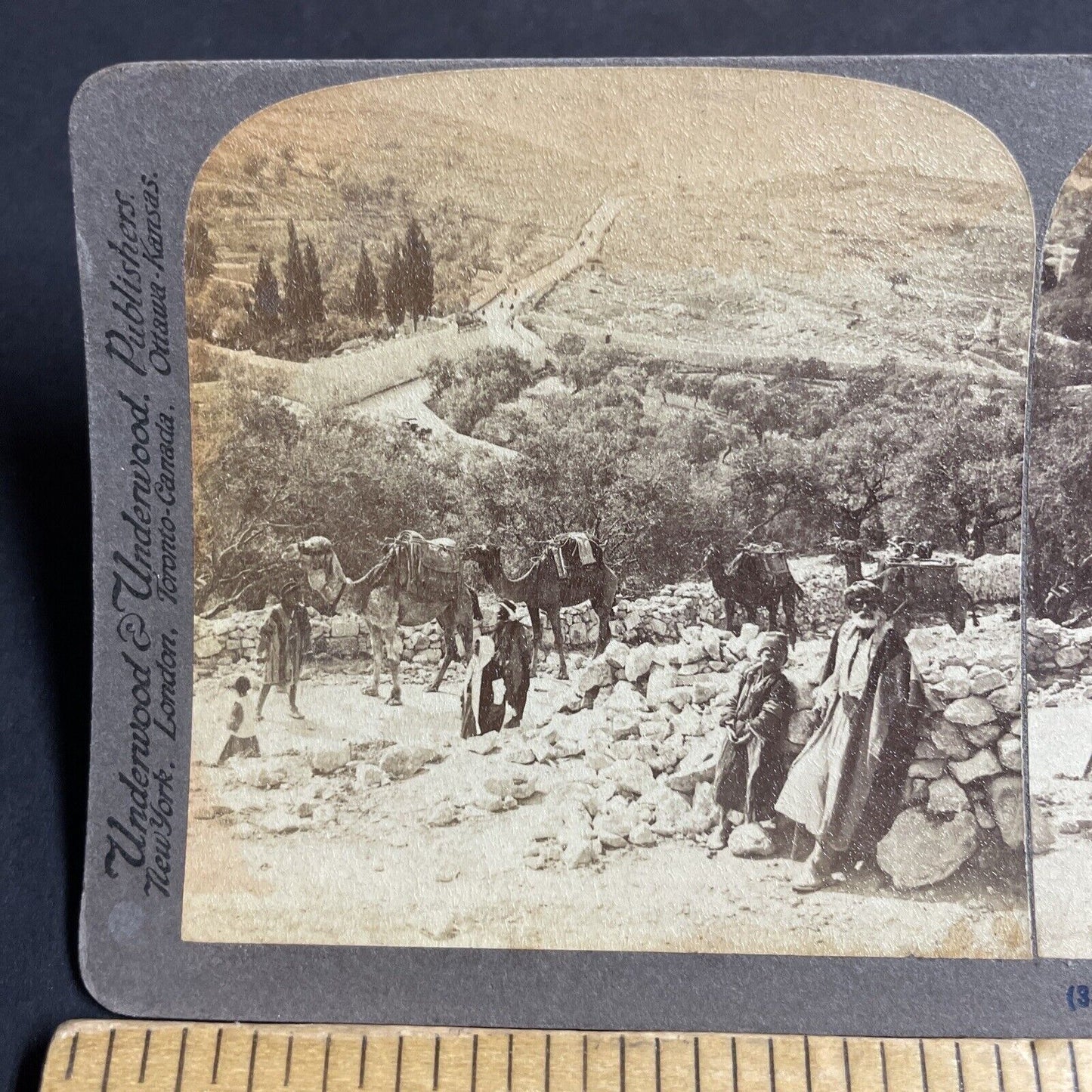 Antique 1900 Desert Caravan Travels To Jerusalem Stereoview Photo Card P4238