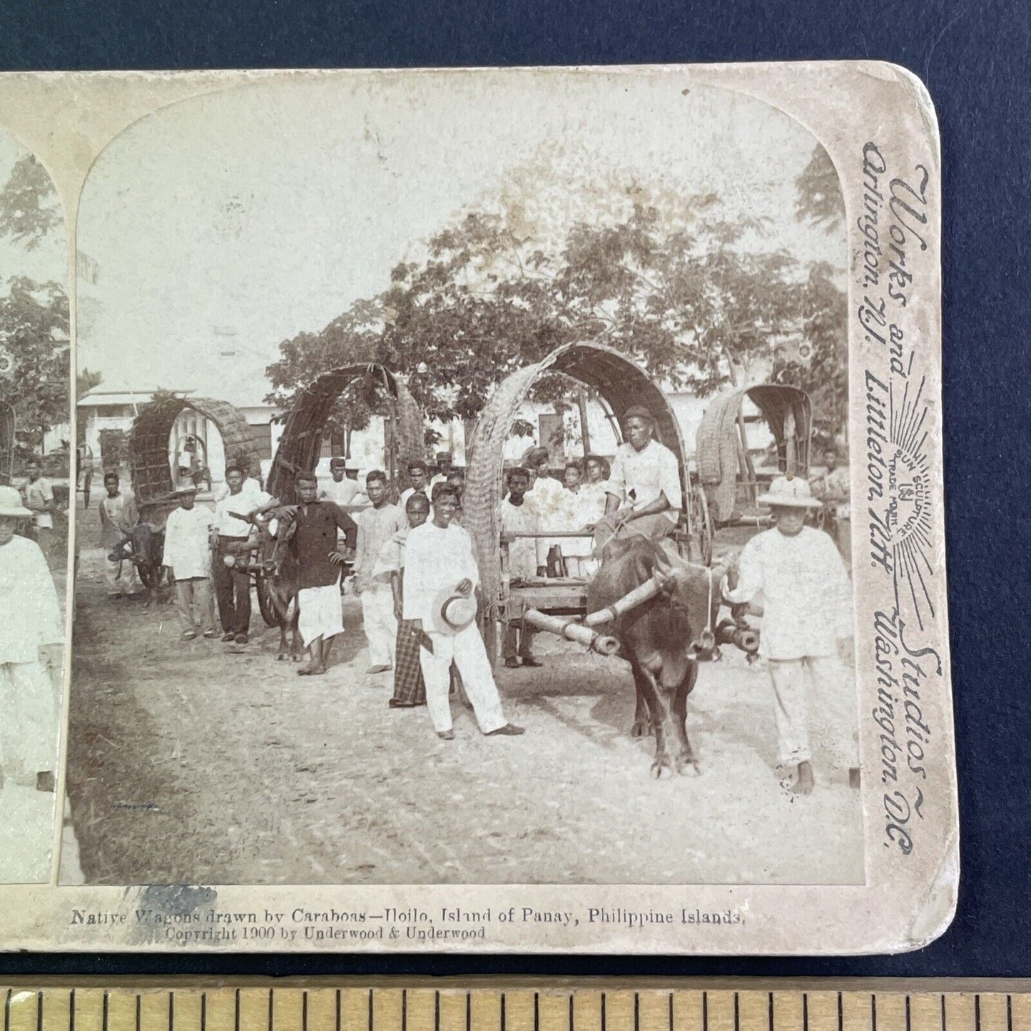 Carabao Drawn Native Wagons Stereoview The Philippines Antique c1900 Y131