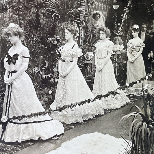 Antique 1903 Beautiful Bridesmaids At Wedding Stereoview Photo Card P3388