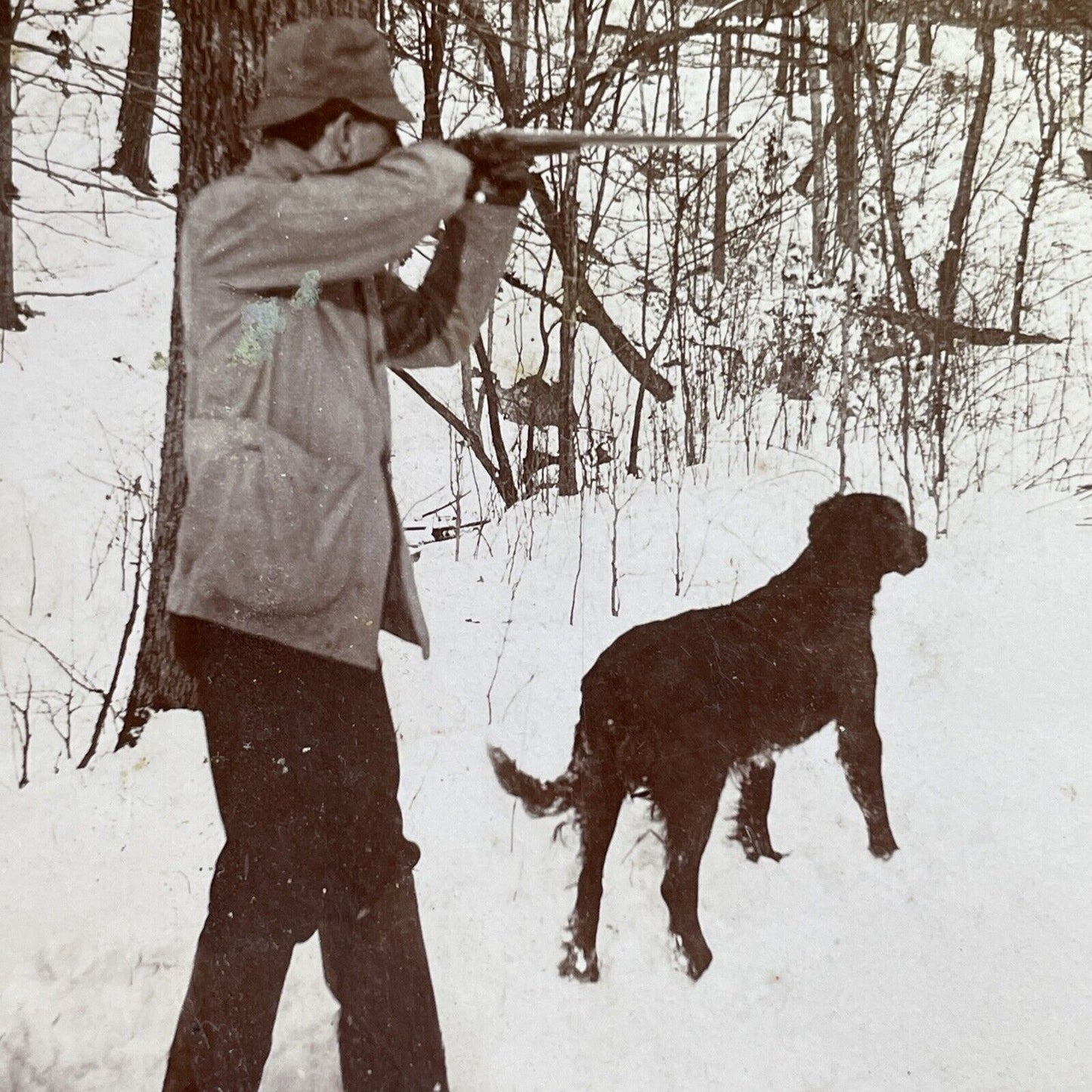 Antique 1898 Hunter And Hunting Dog Meadville Penn Stereoview Photo Card P1657