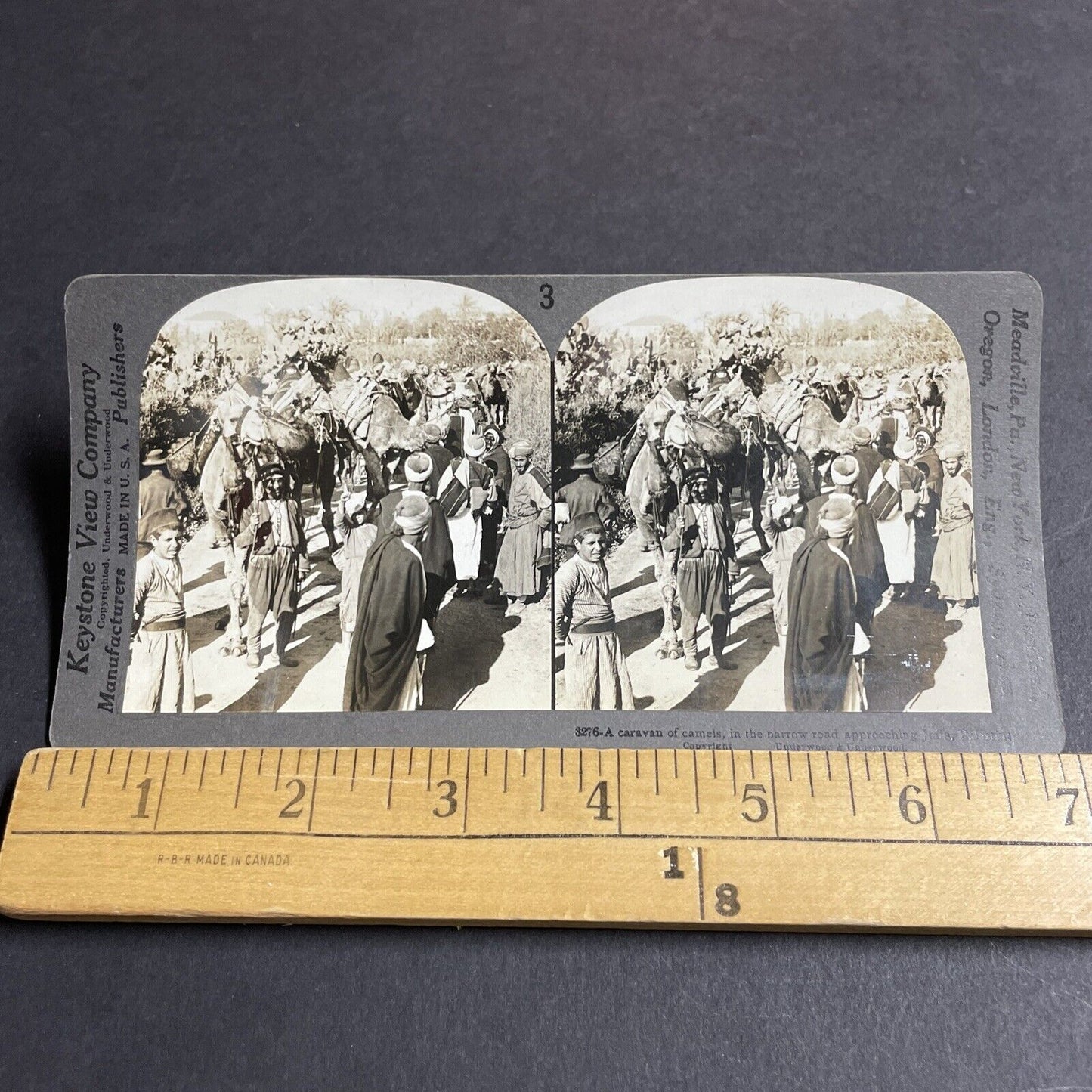 Antique 1910s Desert Warriors On Camels In Israel Stereoview Photo Card P4408