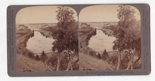 1902 Logging Log Driving Nashwaak River Marysville New Brunswick Stereo Card 405