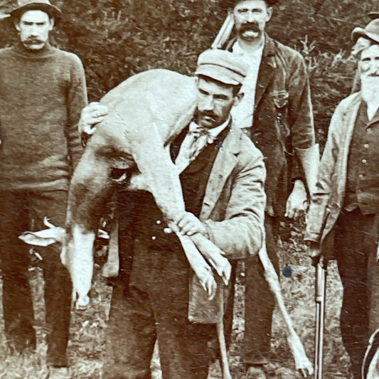 Antique 1894 Hunter Carries Deer Over His Shoulder Stereoview Photo Card P3512