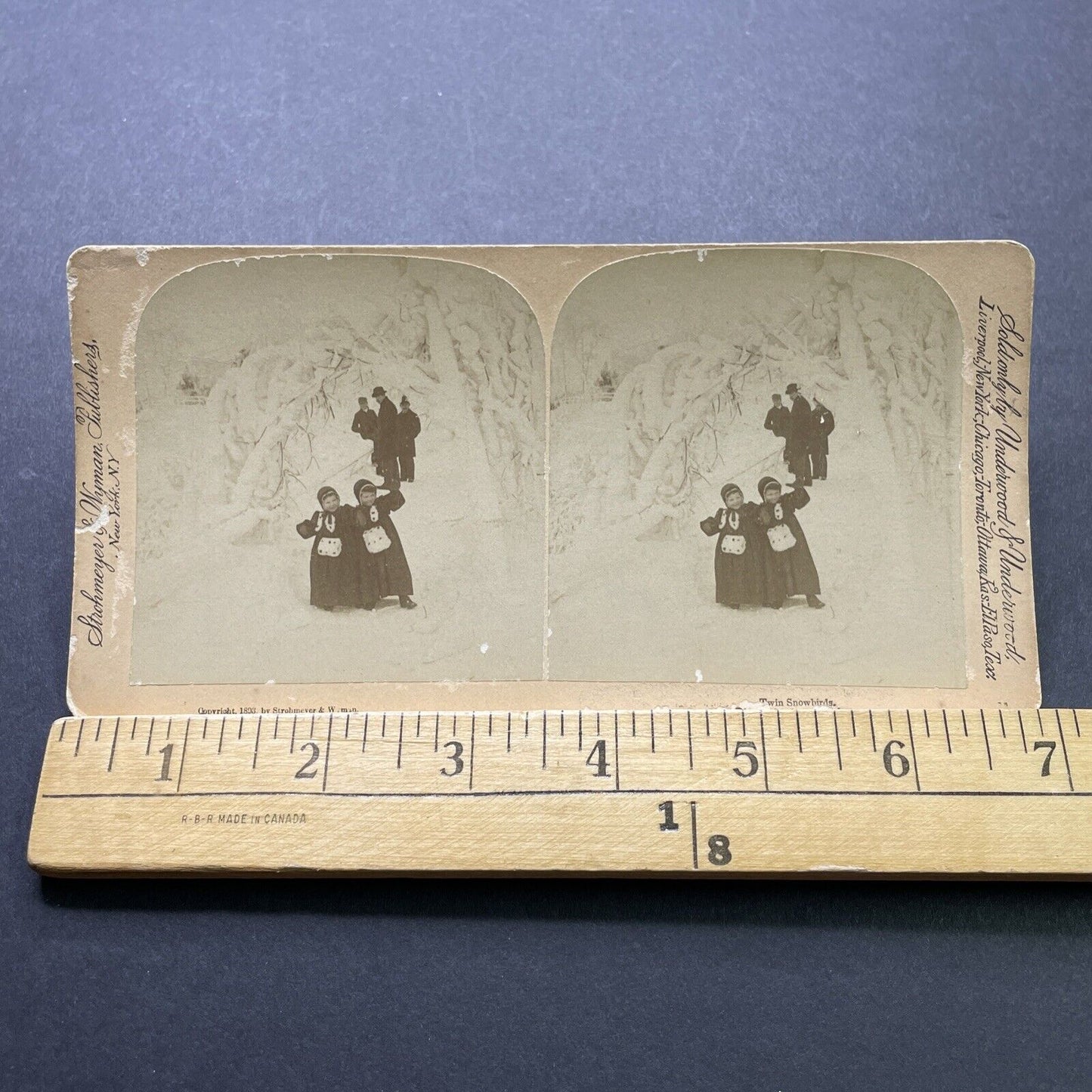 Antique 1893 Children Play In Snow New York State Stereoview Photo Card P2410