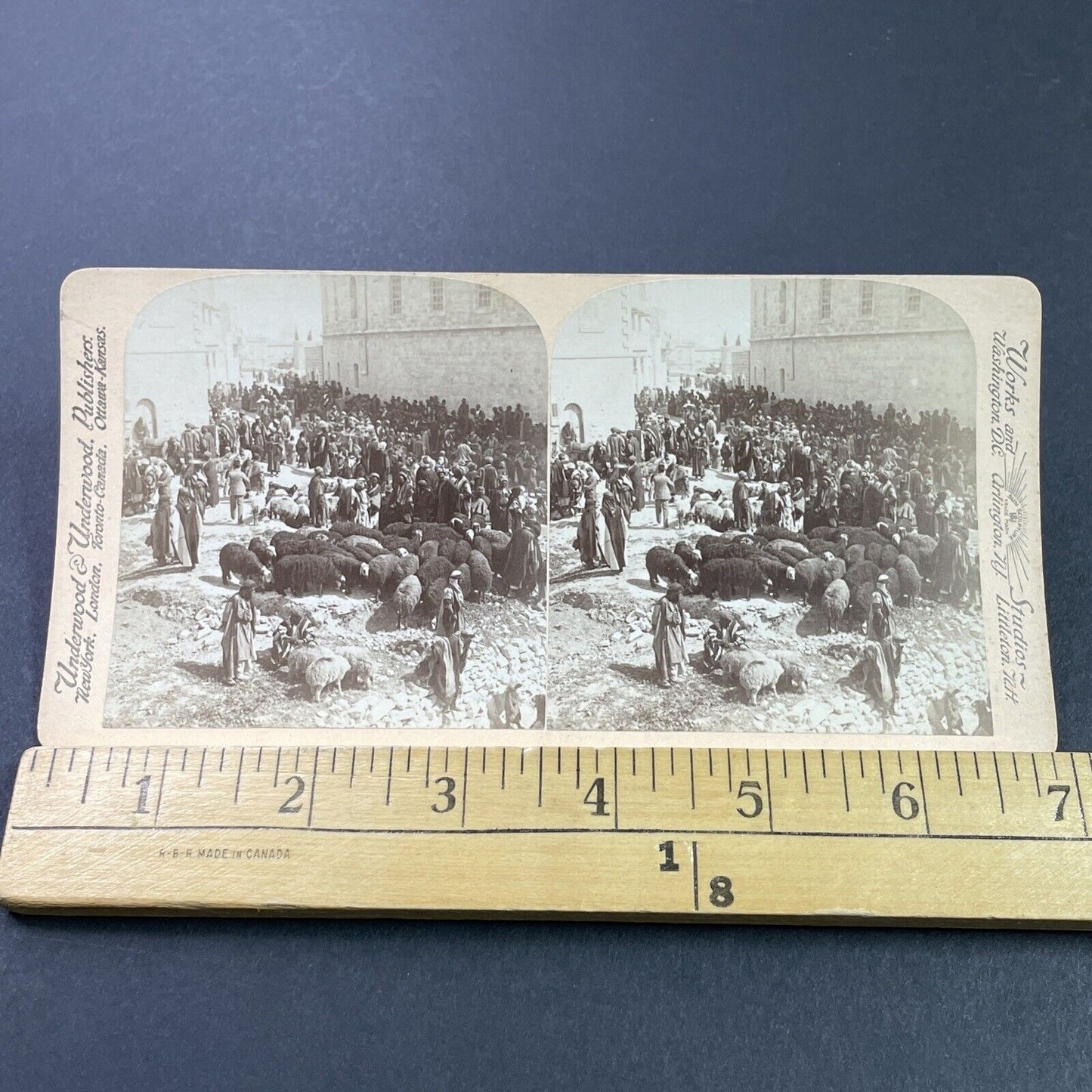 Antique 1880s Sheep Farmers Near Nazareth Israel Stereoview Photo Card P3772