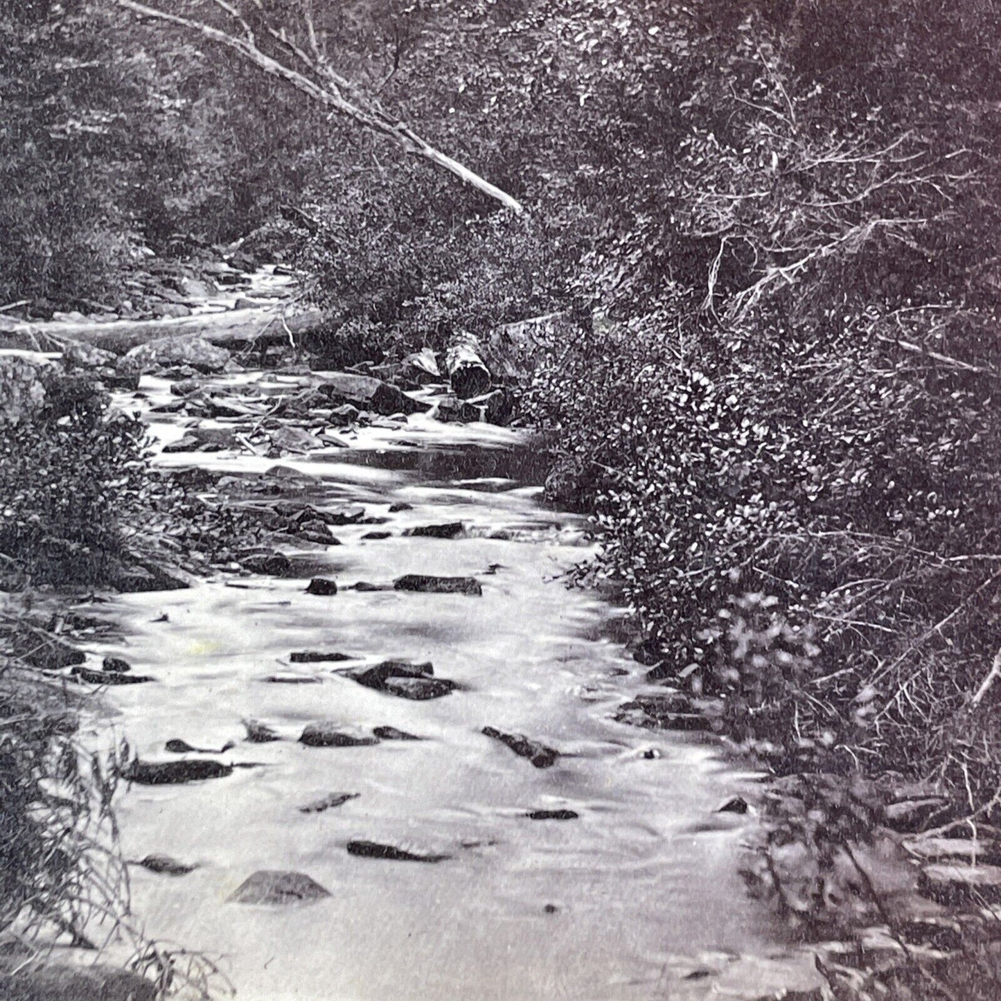 The Rattle River Lot Of 3 Stereoview New Hampshire Antique c1870 X3232