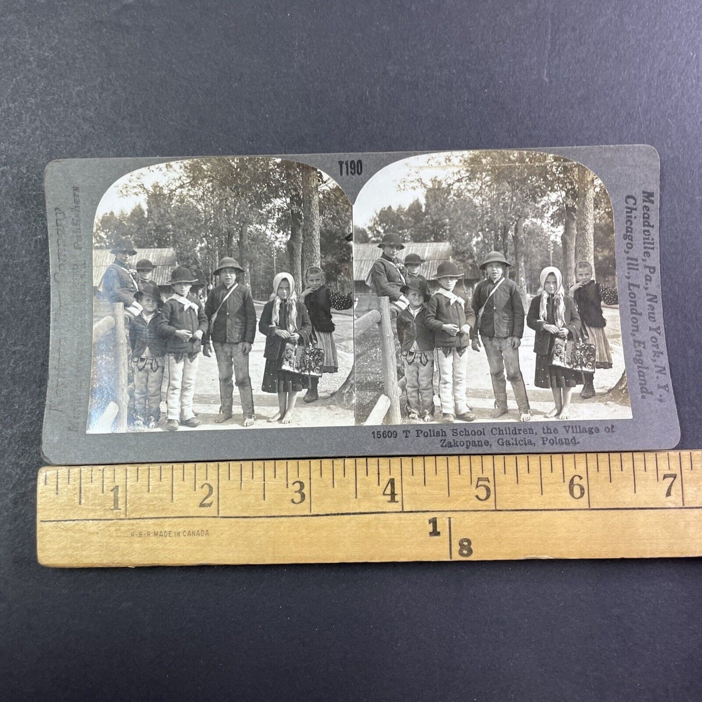 Children In Zakopane Poland Stereoview Tatra Mountains Antique c1920 X2711