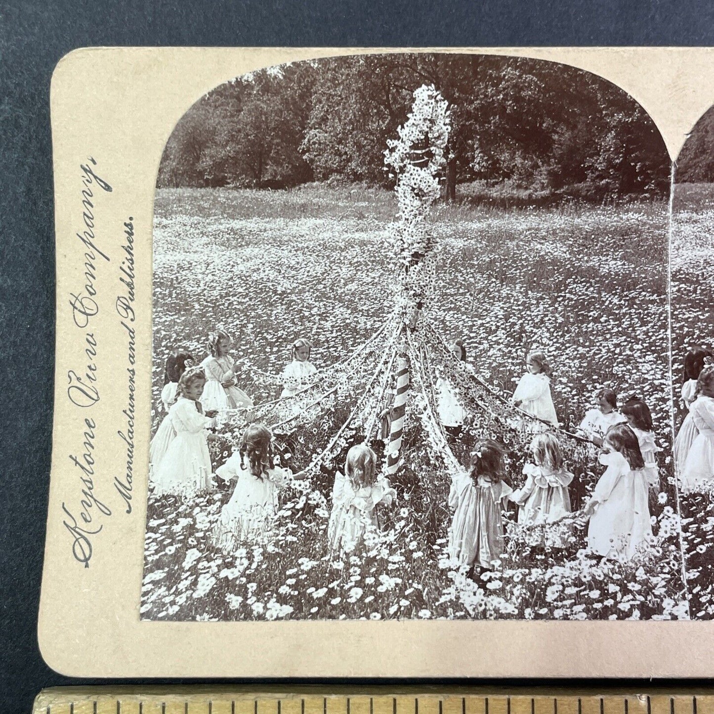 June Carnival Daisy Field Maypole Dance Stereoview Antique c1900 Y1371