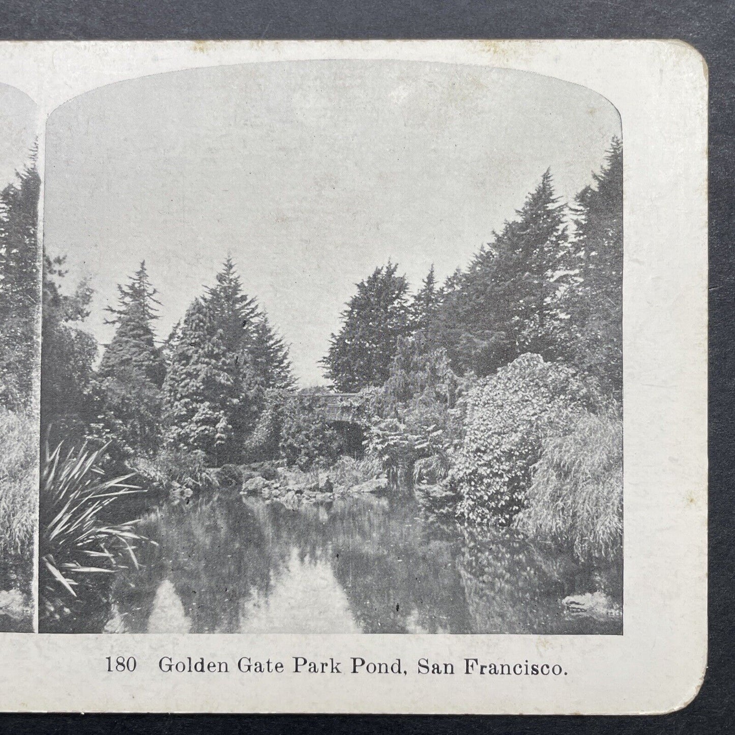 Antique 1910 Golden Gate Park Pond San Francisco Stereoview Photo Card P580-110