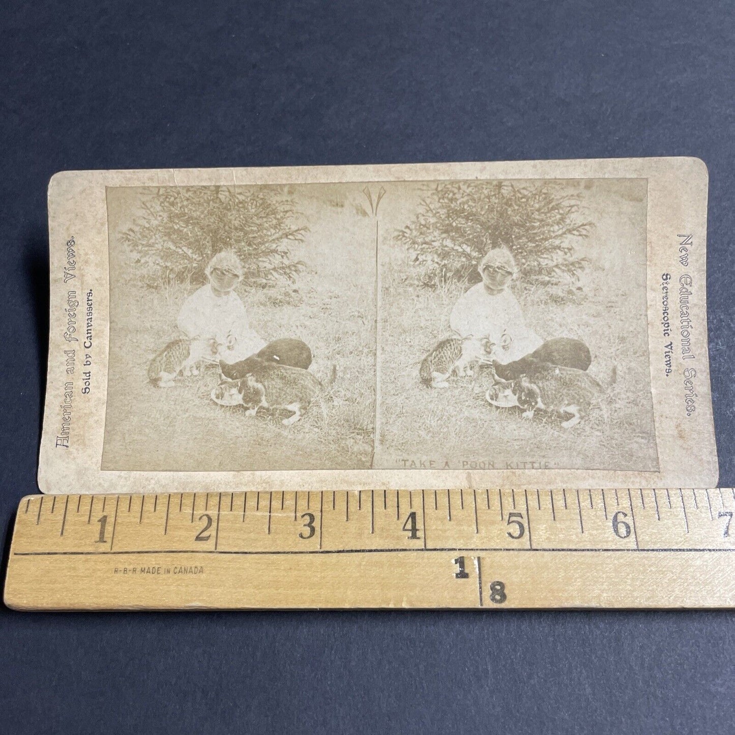 Antique 1880s Child Feeds Cats A Dish Of Milk Stereoview Photo Card P4659