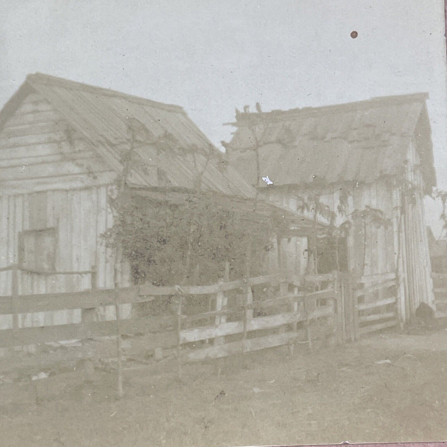 Hermit Shack Stereoview Very Poor Family Home Antique c1890 X1810