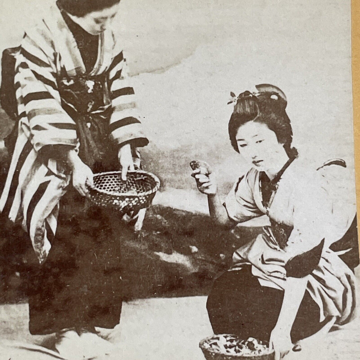 Japanese Women Shell Picking Stereoview Kusakabe Kimbei Antique c1870 X3113 RARE