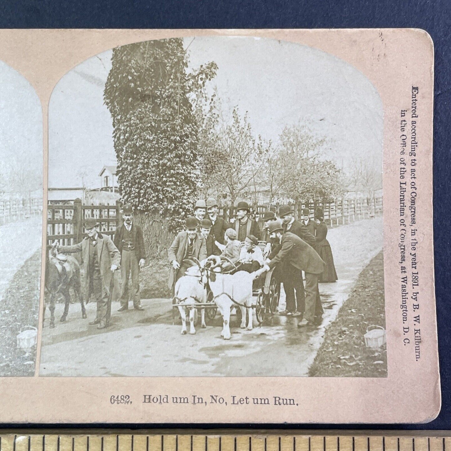 Goat Driven Carriage Enters a Village Stereoview Antique c1891 Y1382