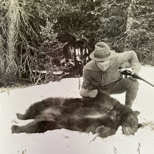 Antique 1913 Black Bear Killed Hunting In Wyoming Stereoview Photo Card P2316