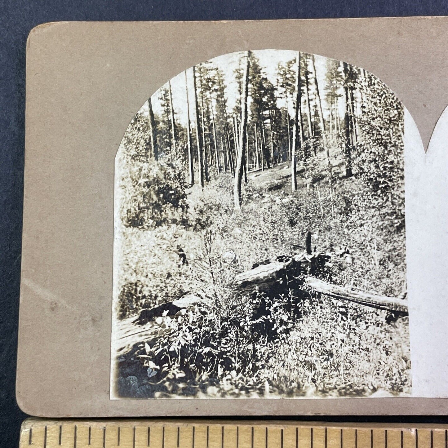 Copper Mountain Colorado Mining Site Mine Stereoview Antique c1870s X3753