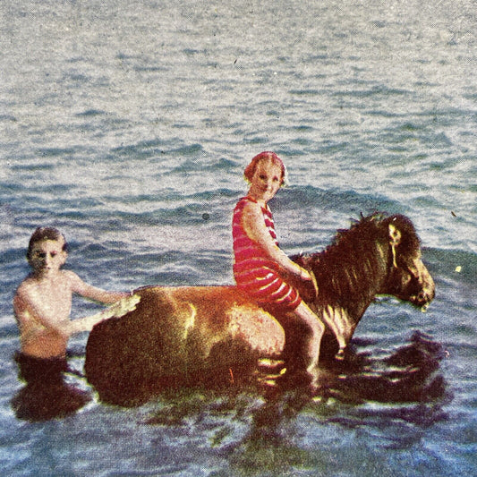 Antique 1905 Children Riding A Pony In A Lake Stereoview Photo Card V3410