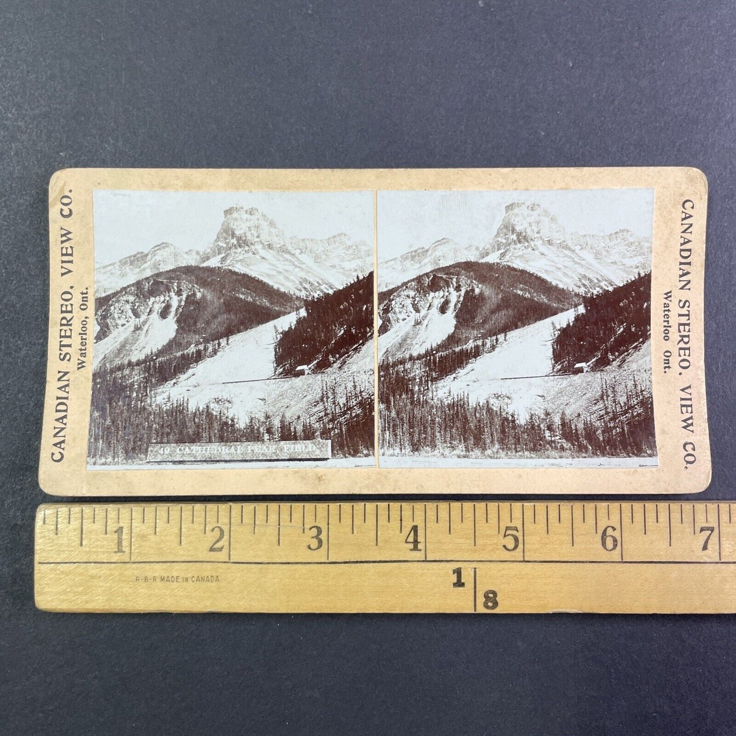 Cathedral Peak in Field British Columbia Stereoview CPR Rail Views c1899 Y2111