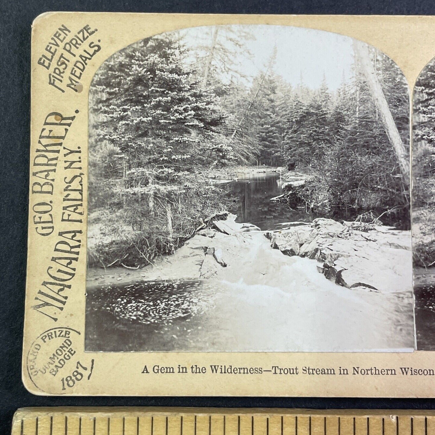 Northern Wisconsin Trout Stream Stereoview George Barker Antique c1889 Y2523