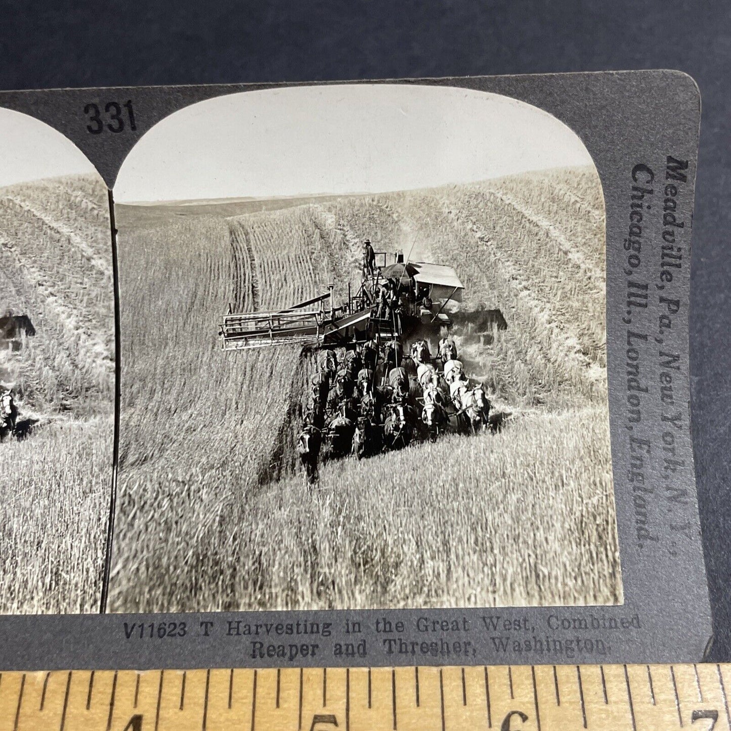 Antique 1910s Horse Drawn Wheat Combine Washington Stereoview Photo Card P3196