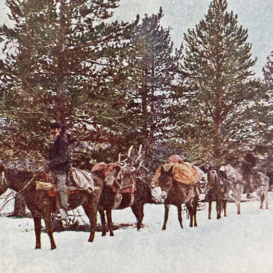 Antique 1899 Prospectors Heading West Stereoview Photo Card P580-079