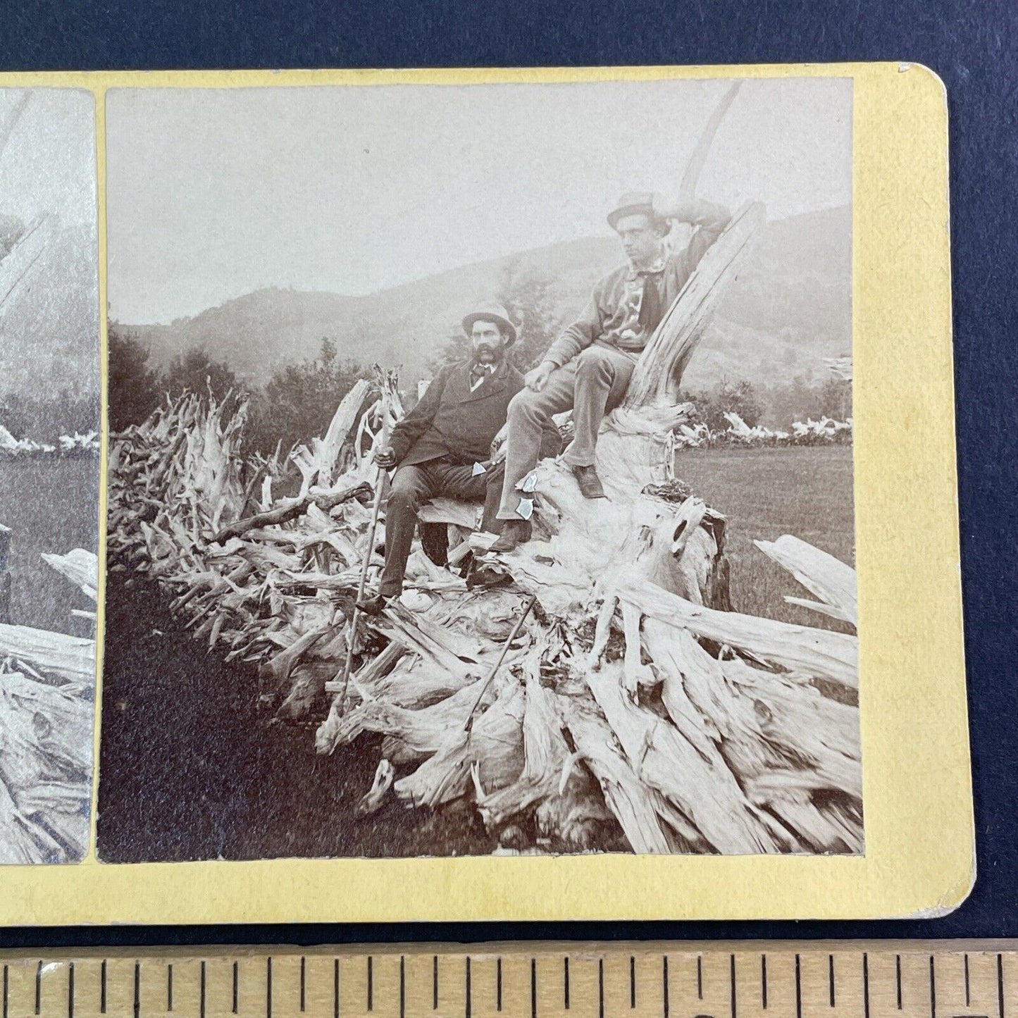 E.J. Young on a Stump Fence Stereoview Campton New Hampshire c1870s Y883