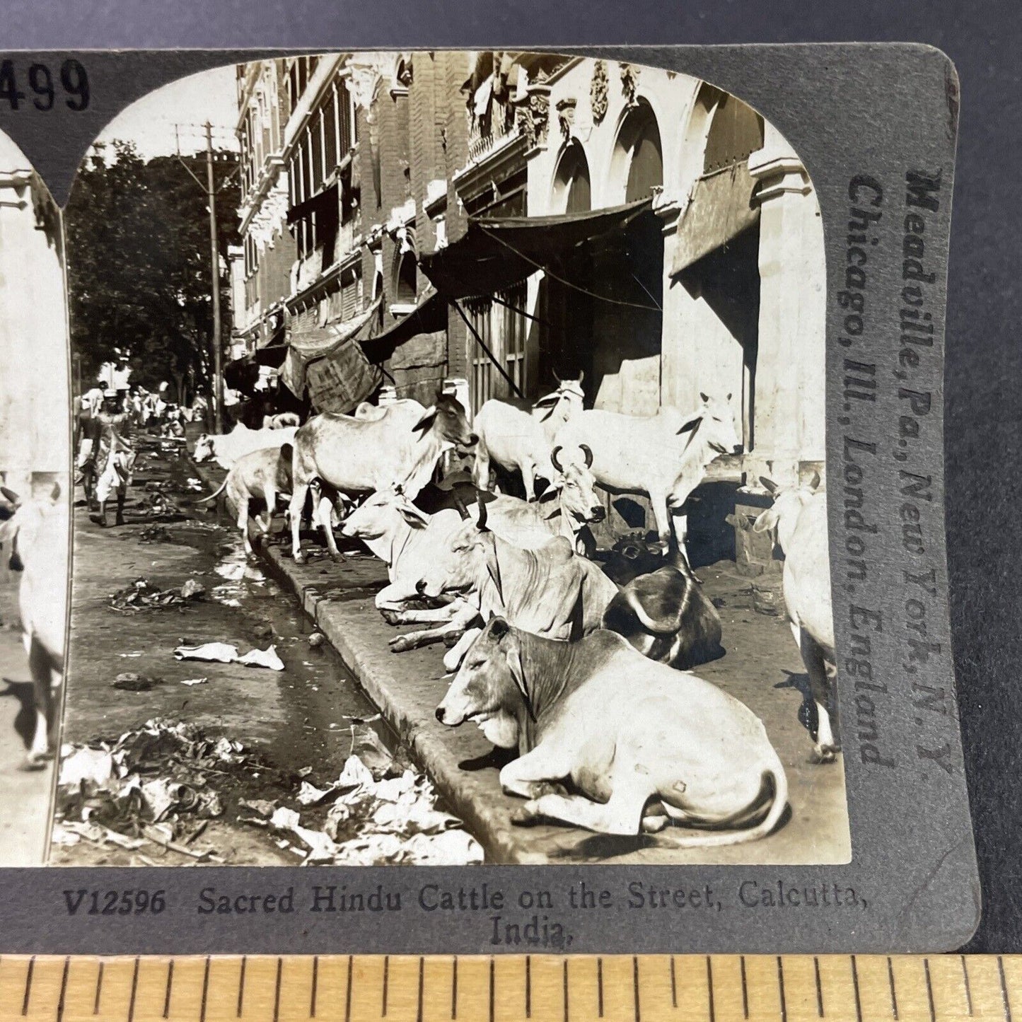 Antique 1910s Extreme Poverty In Calcutta India Stereoview Photo Card P3746