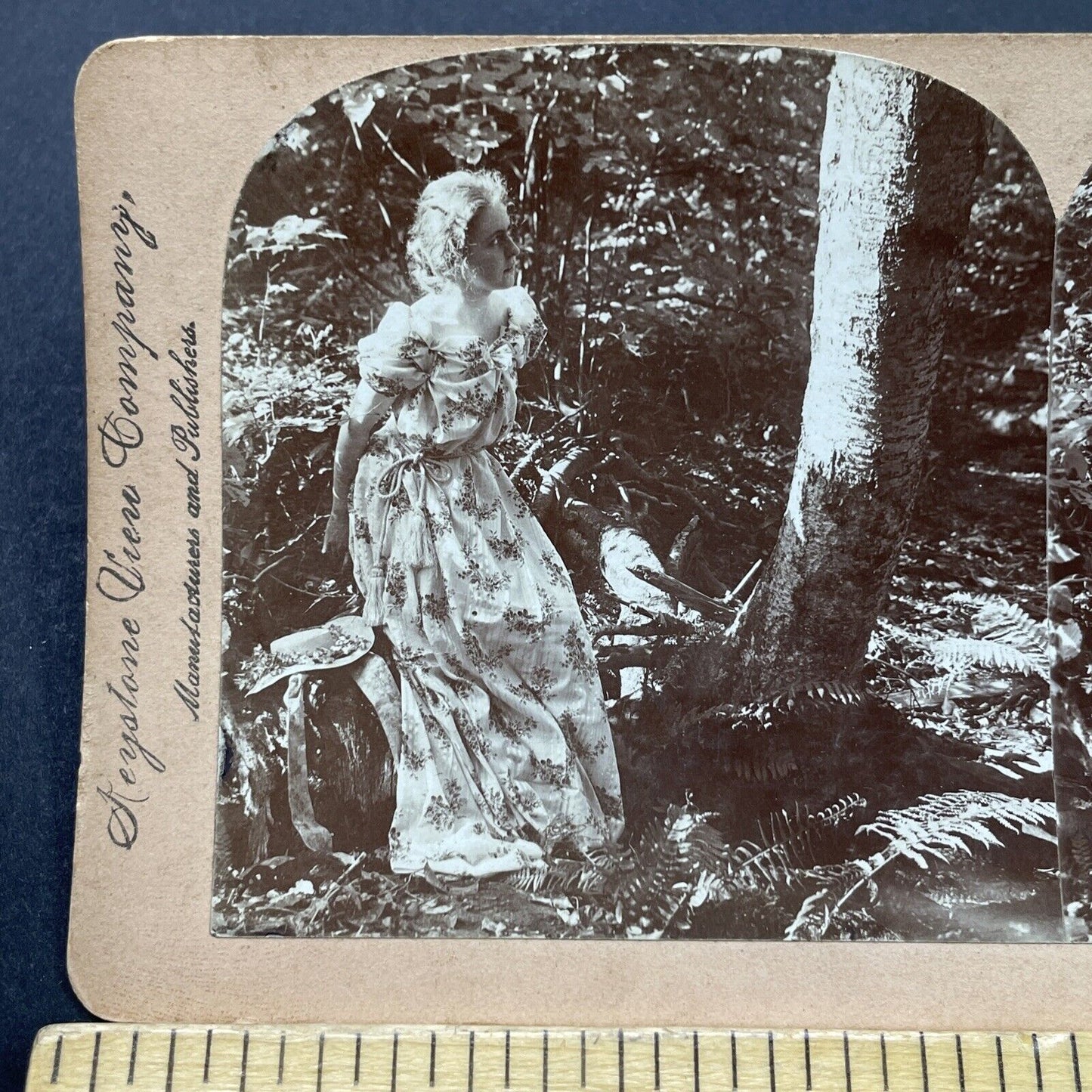 Antique 1899 Woman Sees Her Initials In Tree Stereoview Photo Card P2679