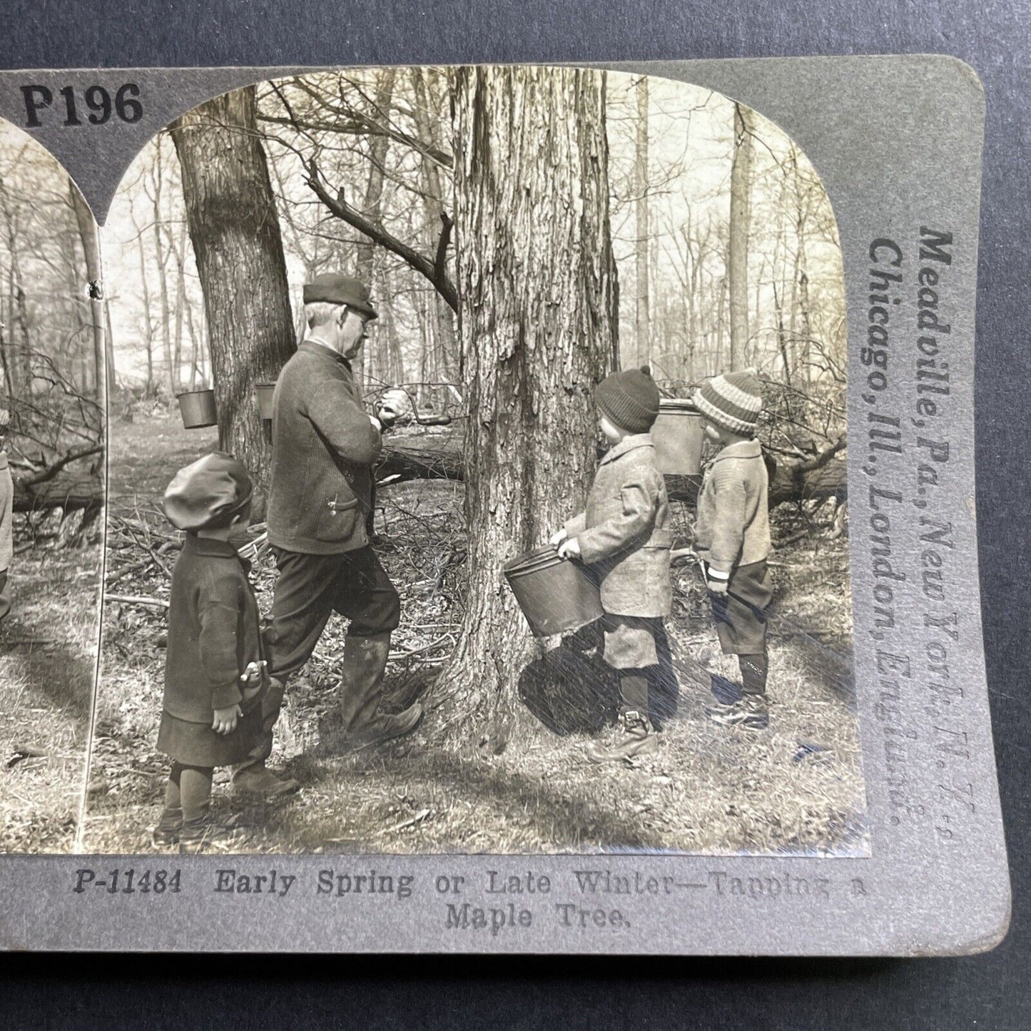 Antique 1920s Tapping Maple Tree Vermont Maple Syrup Stereoview Photo Card P1616