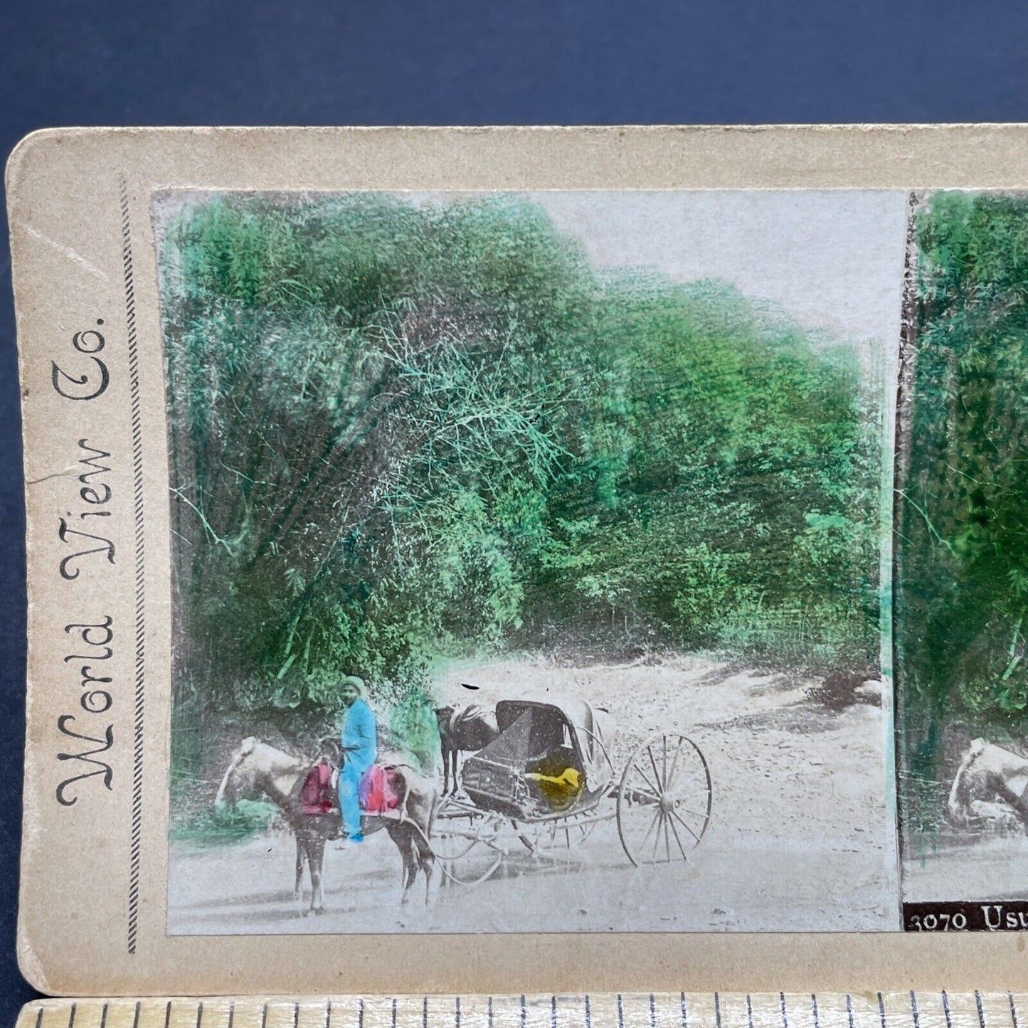 Antique 1880s Carriage & Driver Santiago Chile Stereoview Photo Card P1853