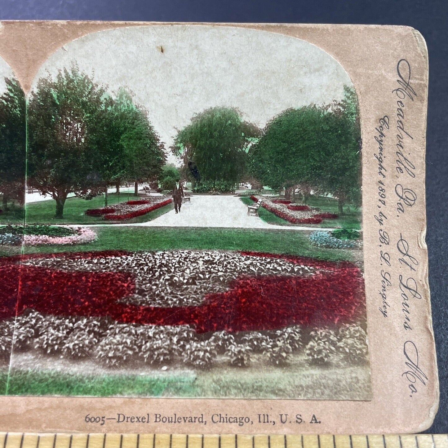 Antique 1897 Drexel Blvd Chicago Illinois Stereoview Photo Card P3872