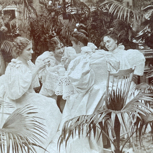 Antique 1897 Wealthy Women Gossip Over High Tea Stereoview Photo Card P1981