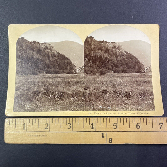 Elephant's Head New Hampshire Stereoview Near Crawford House Antique c1875 Y1479