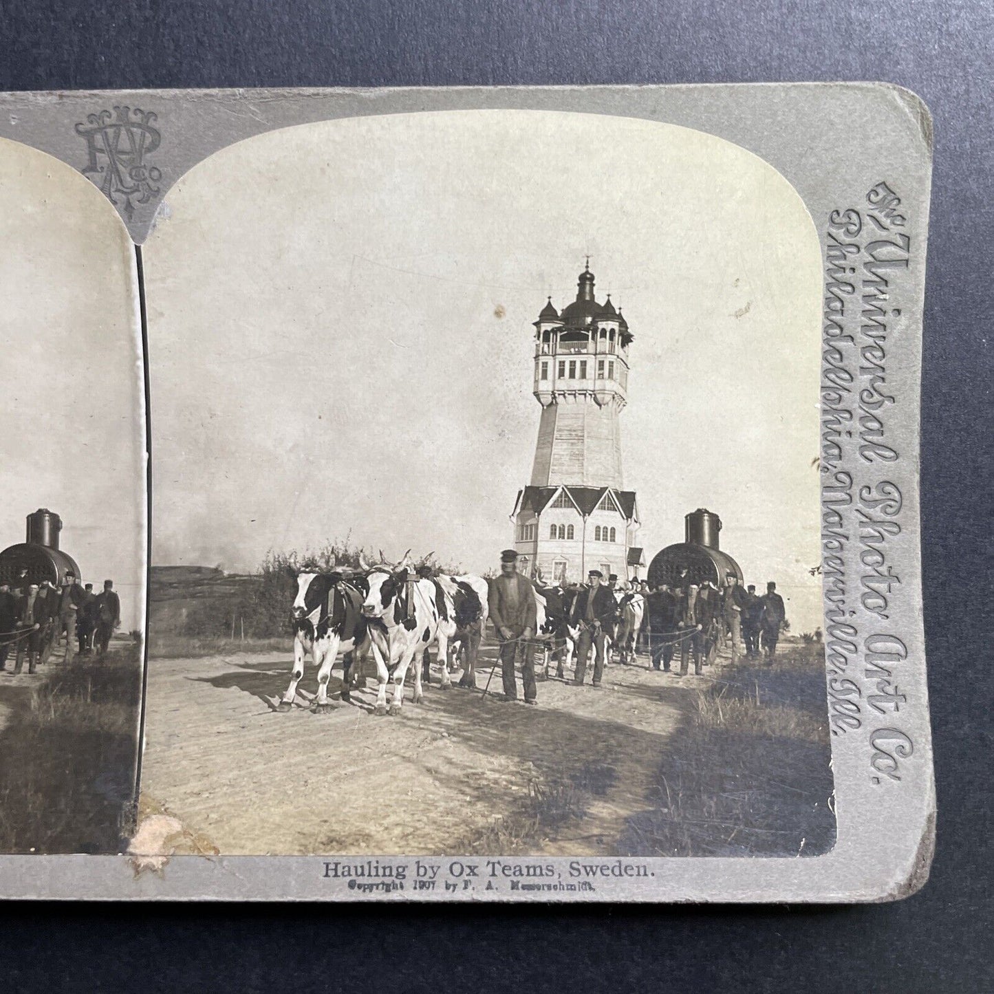 Antique 1901 Train Parts Hauled By Oxen In Sweden Stereoview Photo Card P1675