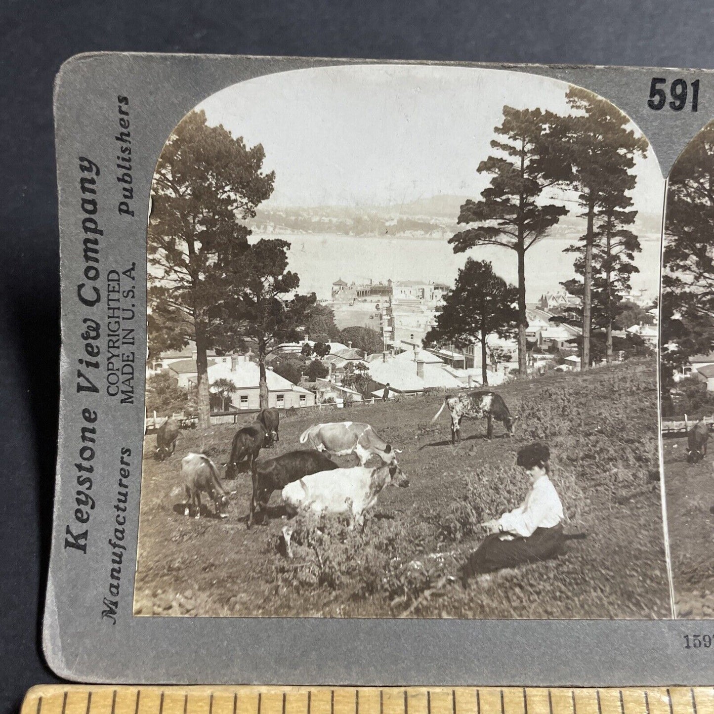 Antique 1911 Northcote Auckland New Zealand Park Stereoview Photo Card P5154