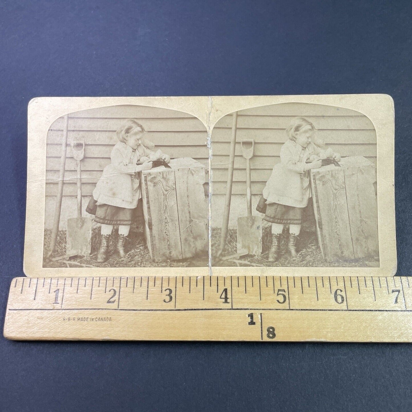 Antique 1880s Young Girl Saves Small Chicks Chickens Stereoview Photo Card P3341