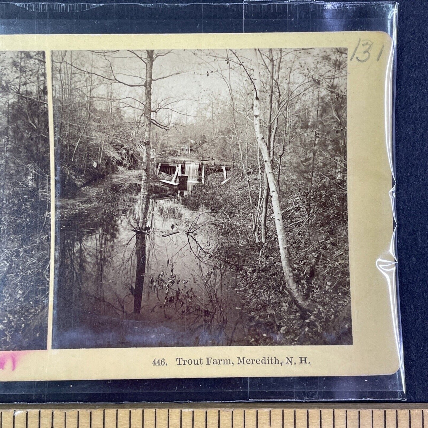 Meredith New Hampshire Stereoview SIGNED BY BENJAMIN KILBURN in 1894 c1878 Y2152