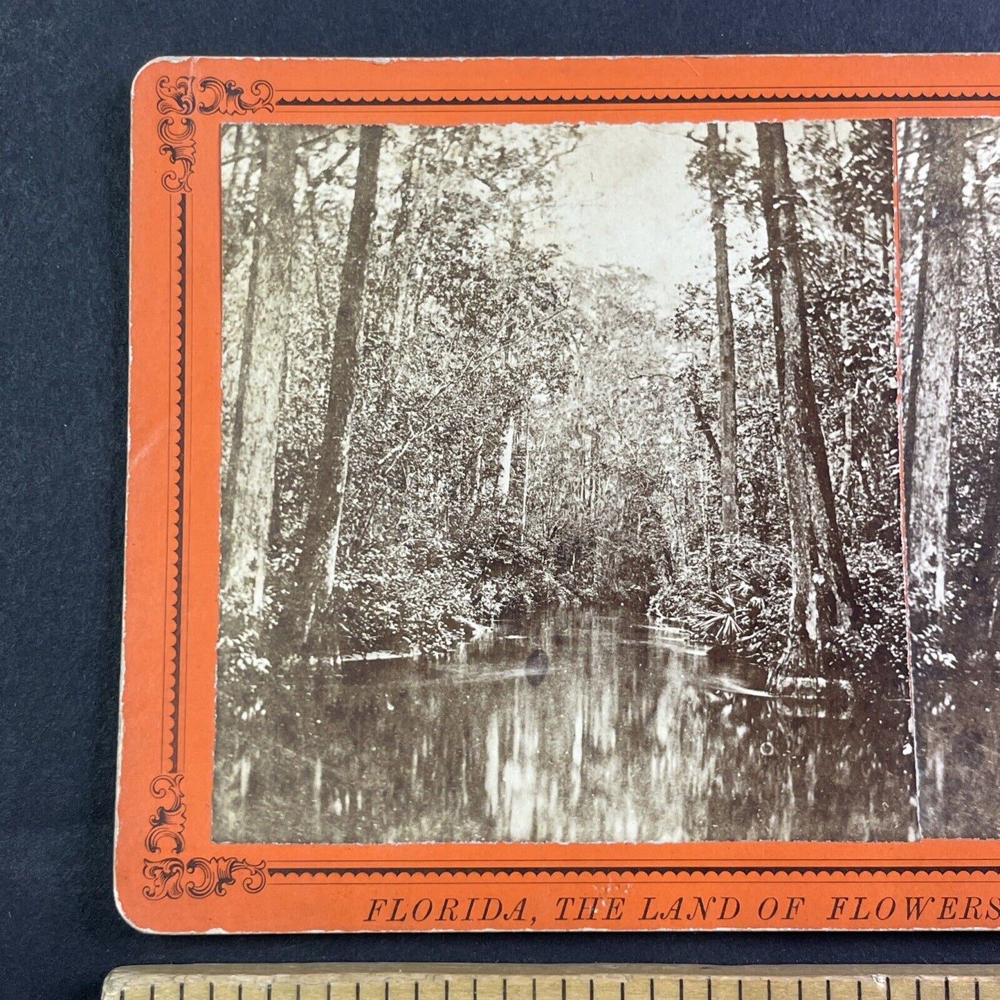 Ocklawaha River Eureka Florida Cypress Gate Narrows Stereoview c1870 Y082