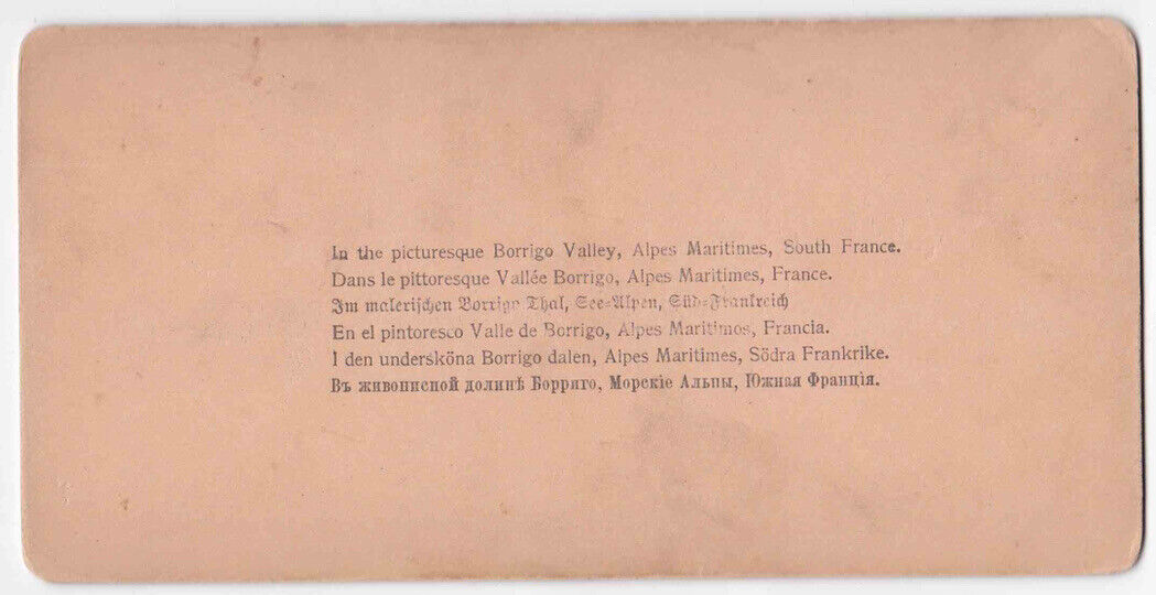 Antique 1898 Views Of The Borrigo Valley, Sainte-Agnes, France Photo Card P078