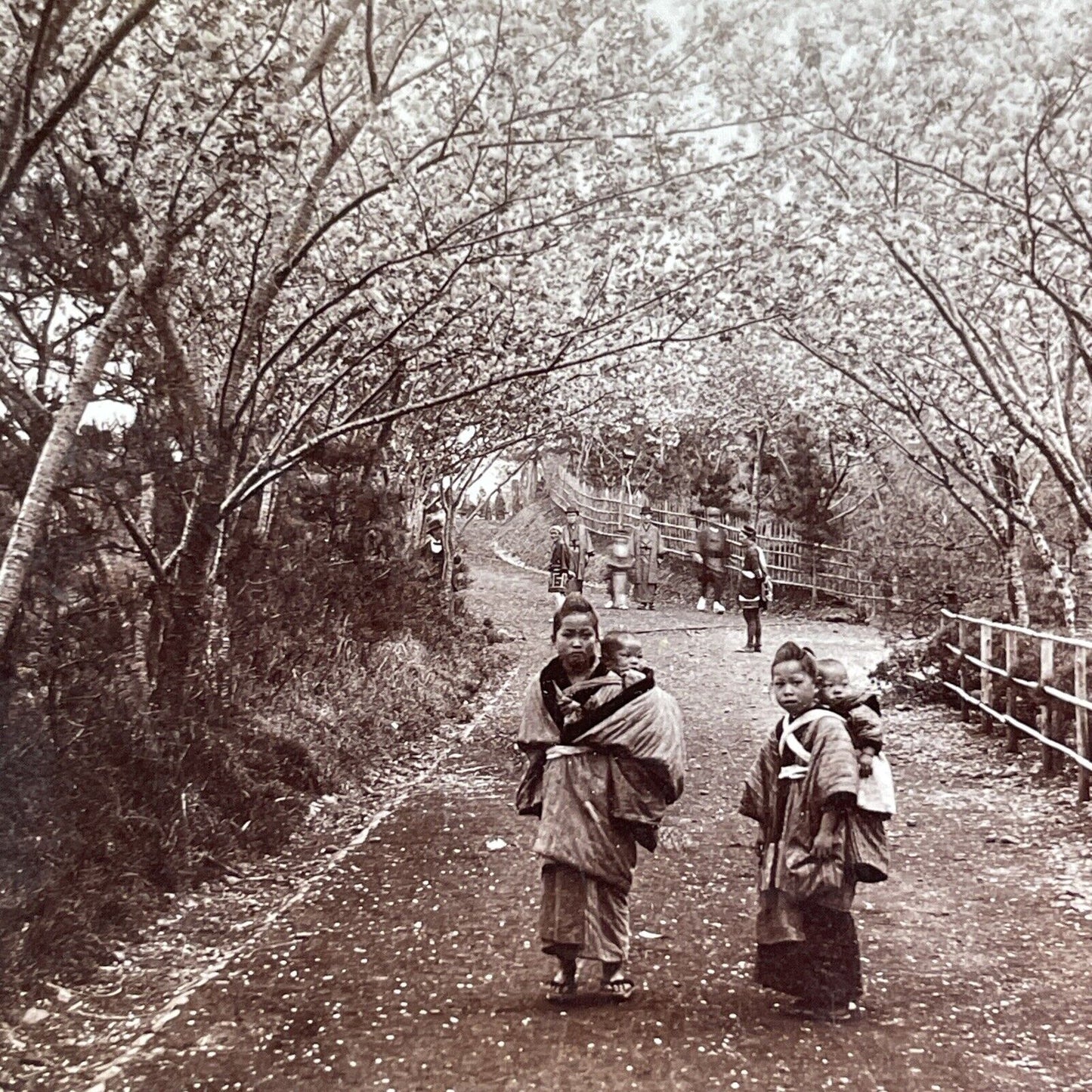 Young Mothers in Japan Stereoview Strohmeyer Antique c1896 Y2589