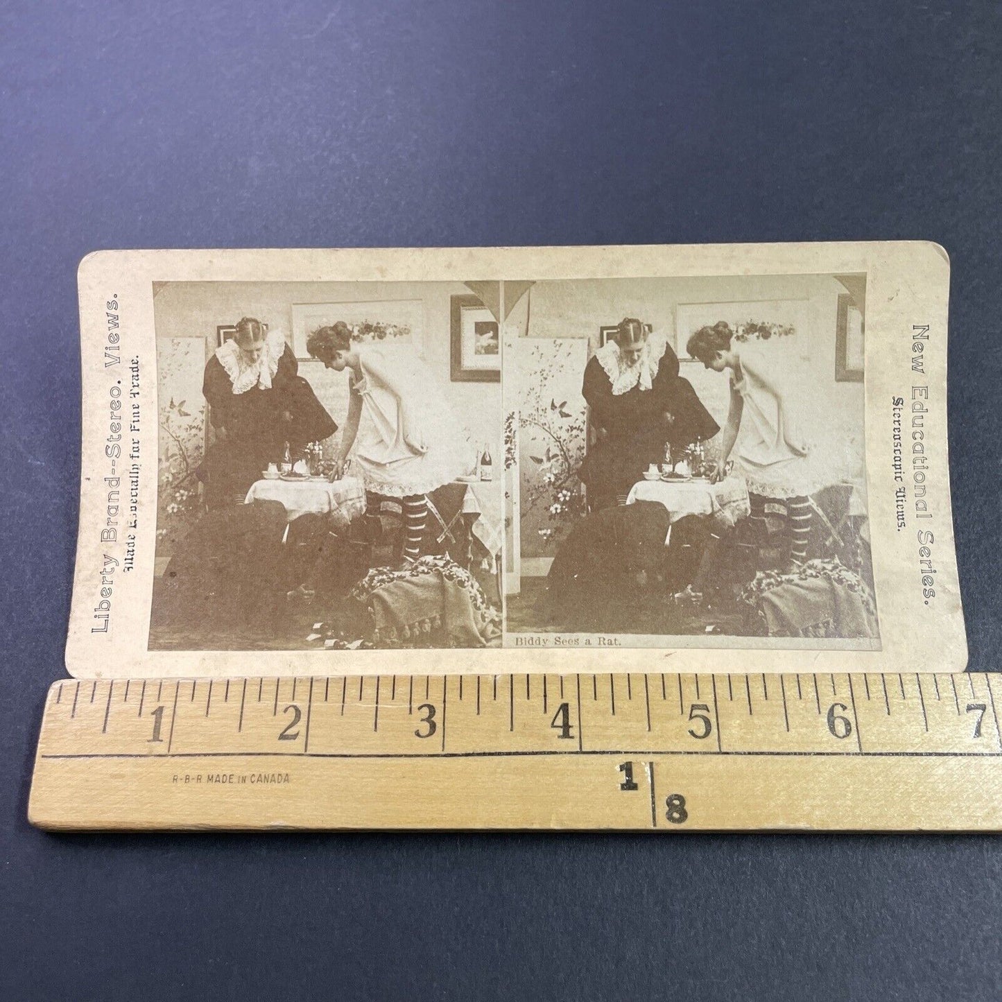Antique 1880s Women Hide From A Rat At Dinner Stereoview Photo Card P3446