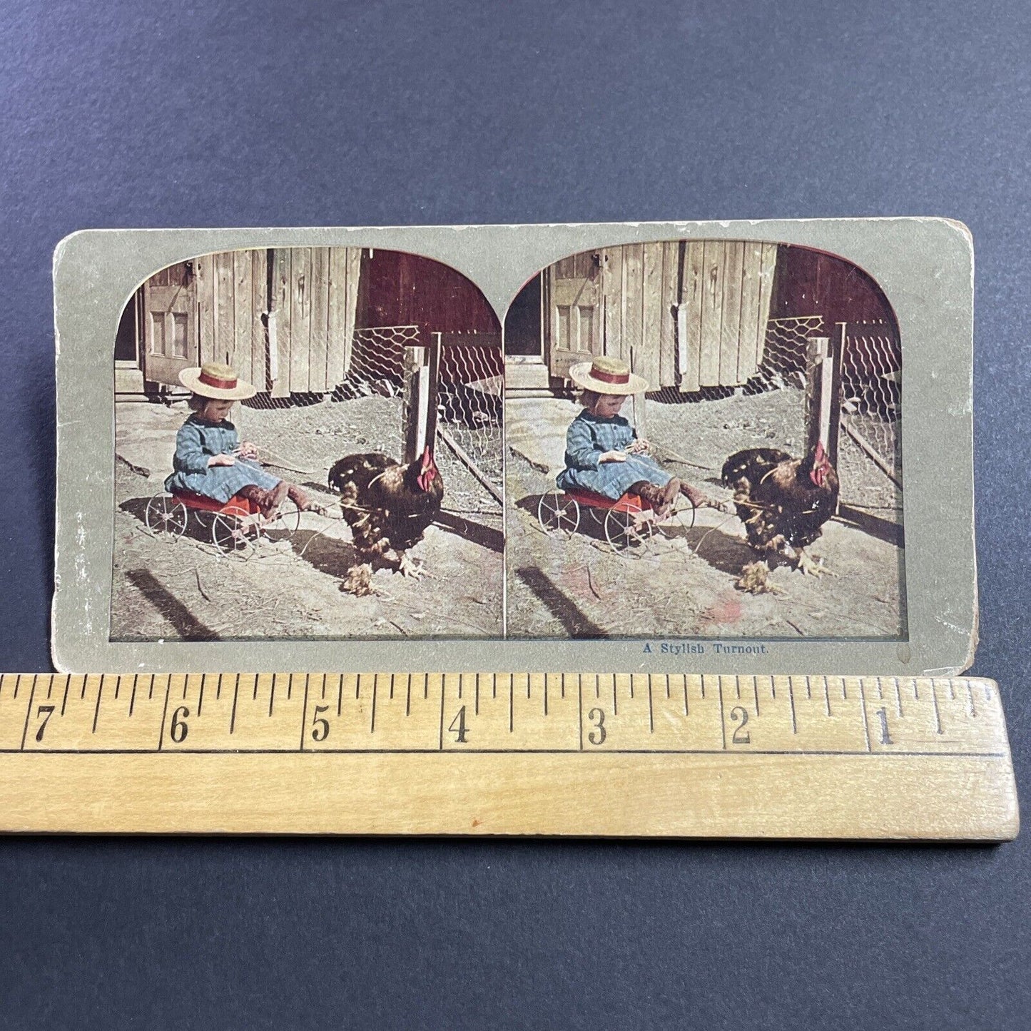 Antique 1905 A Chicken Drawn Carriage And Child Stereoview Photo Card Q2244