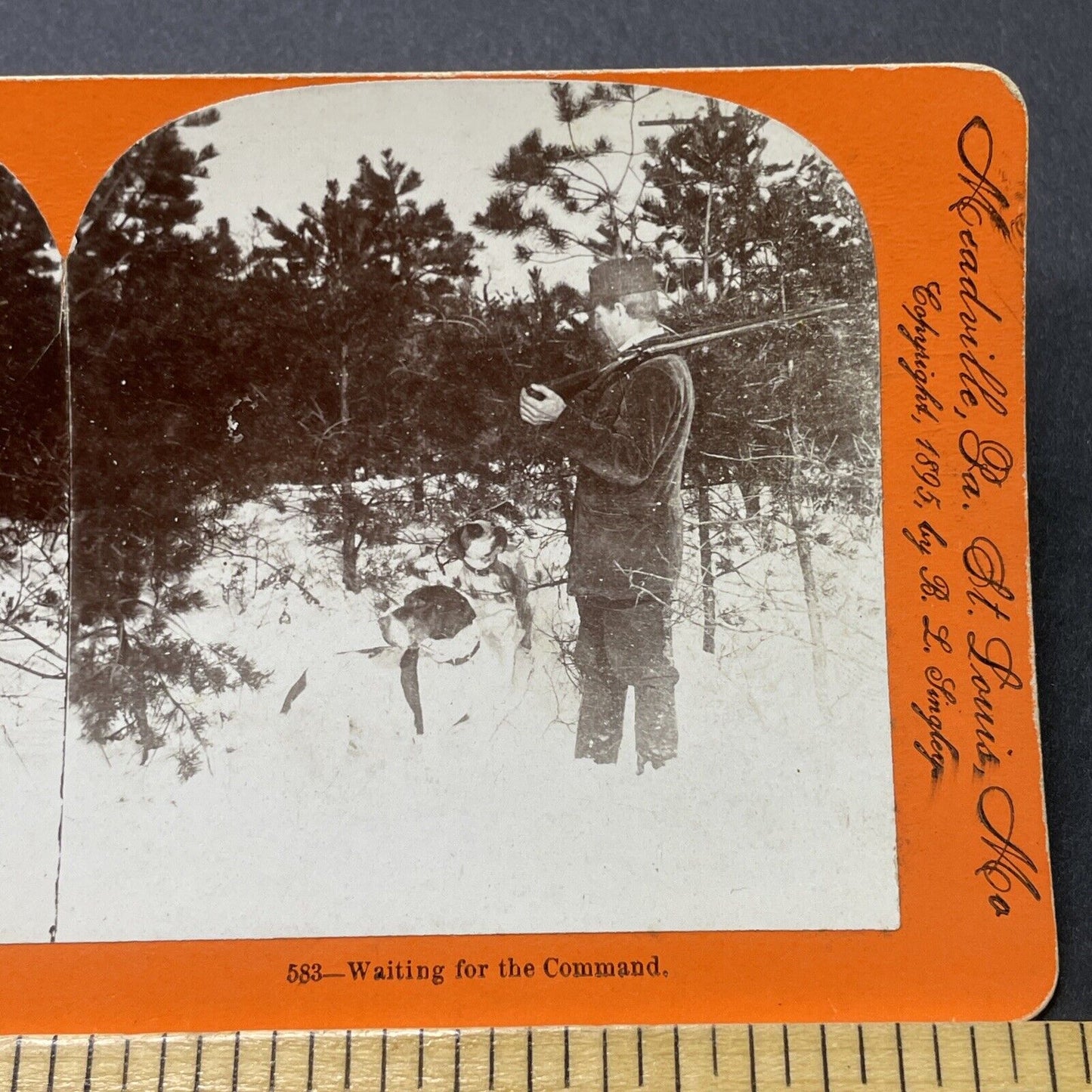 Antique 1895 Man With His Hunting Dogs Stereoview Photo Card P2725