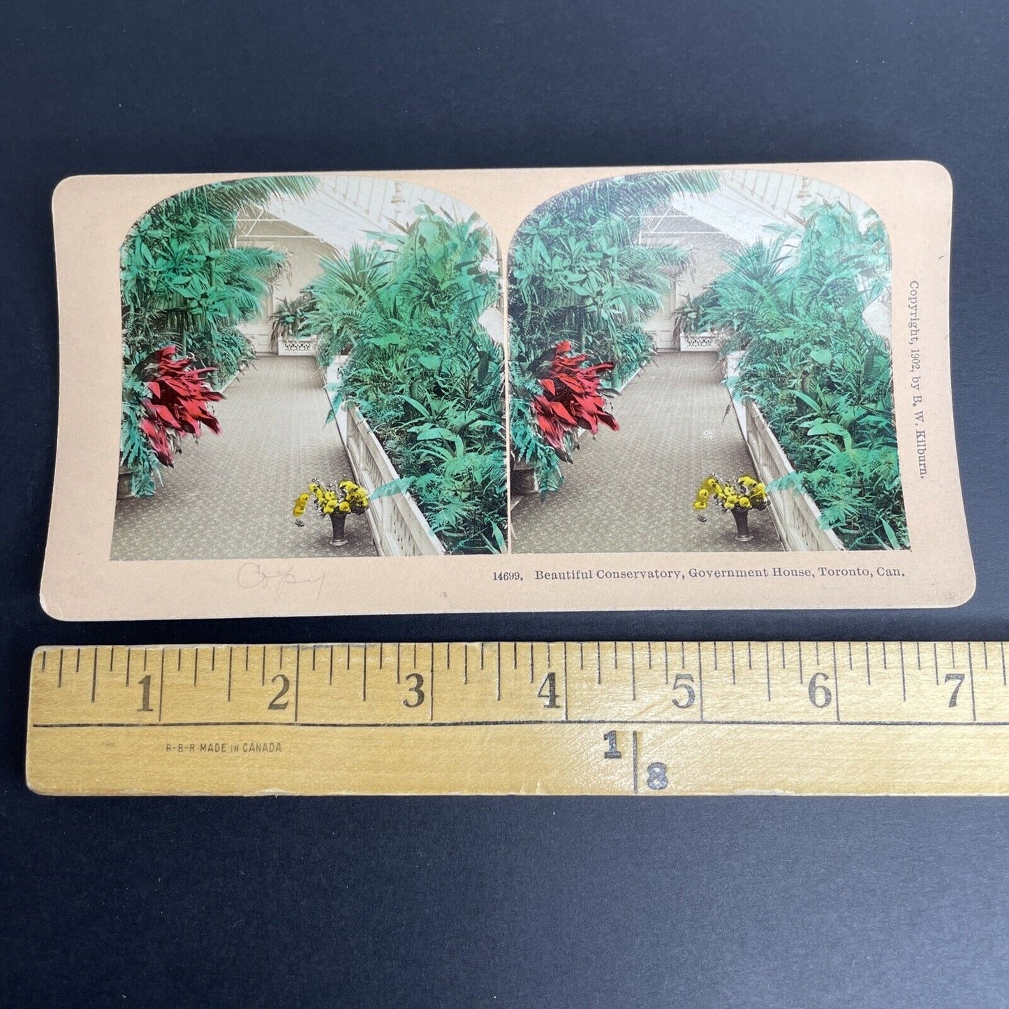 Antique 1903 Third Government House Gardens Toronto Stereoview Photo Card PC852