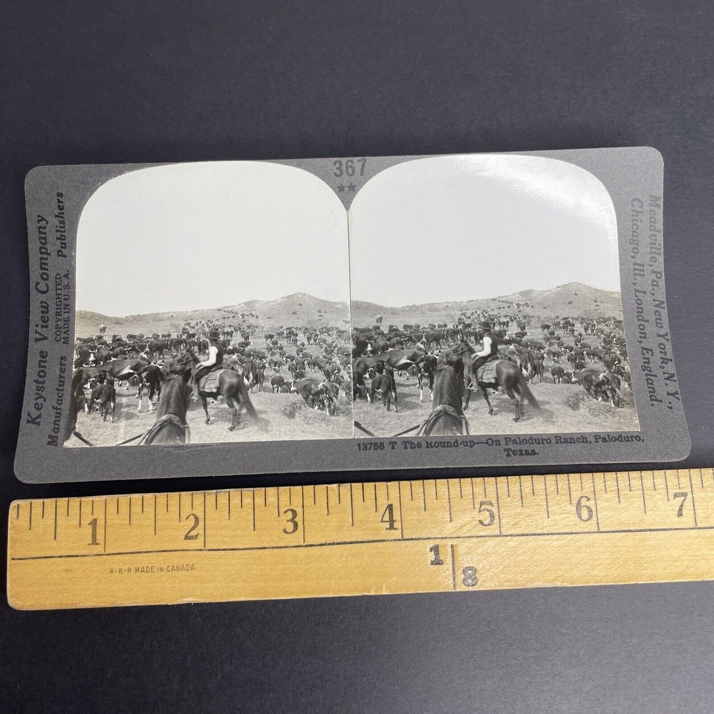 Antique 1905 Cowboys & Cattle Paloduro Texas Stereoview Photo Card PC770