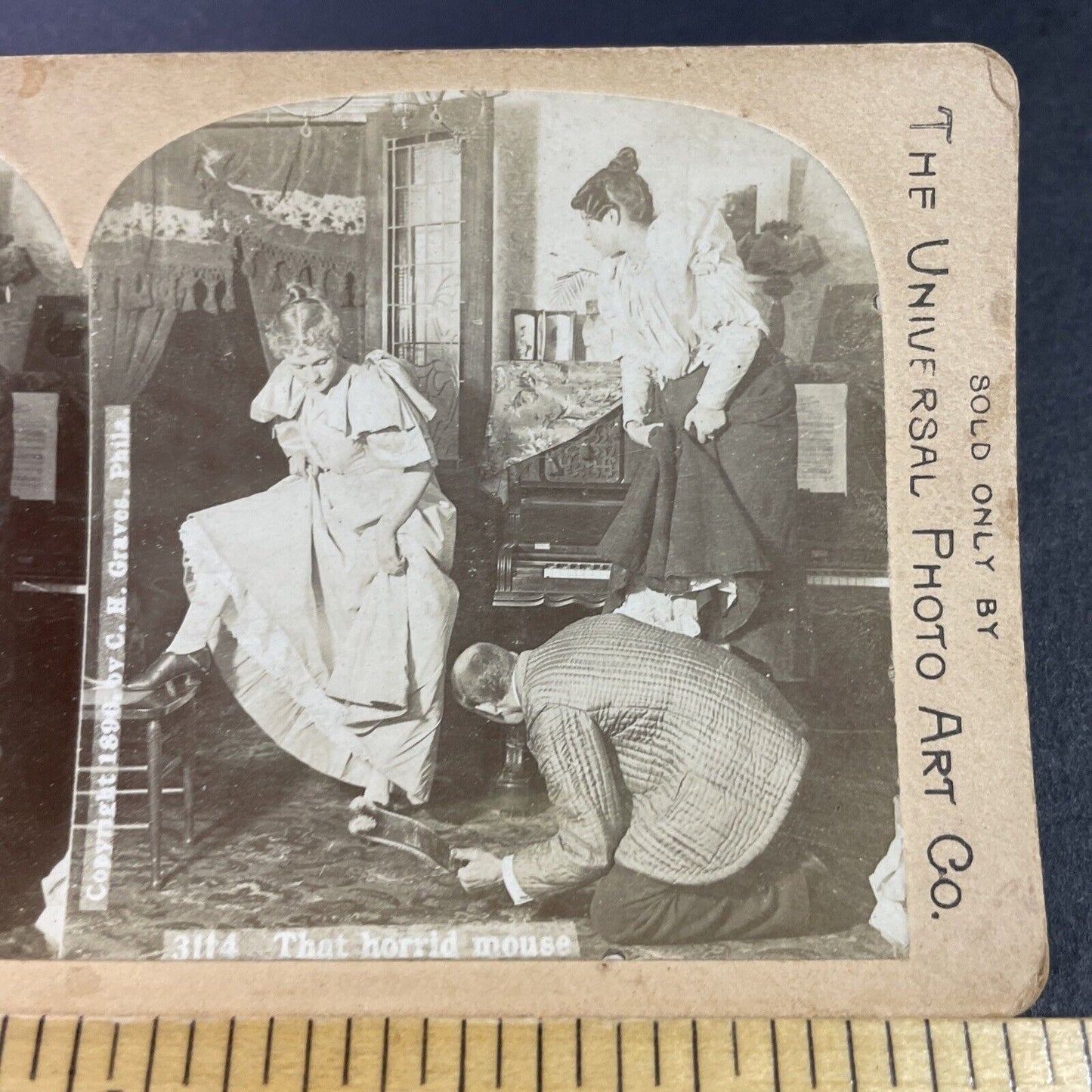 Antique 1896 Women Hide From Mouse In Piano Room Stereoview Photo Card P3466