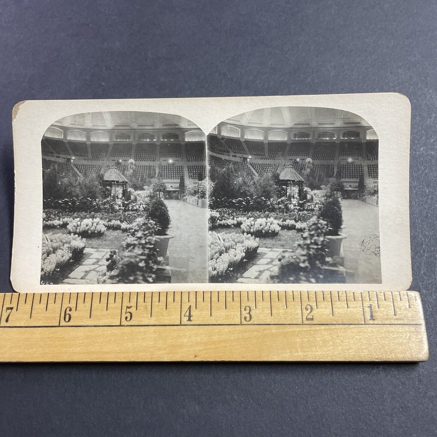 Antique 1870s Inside Madison Square Garden NYC Stereoview Photo Card P856-10