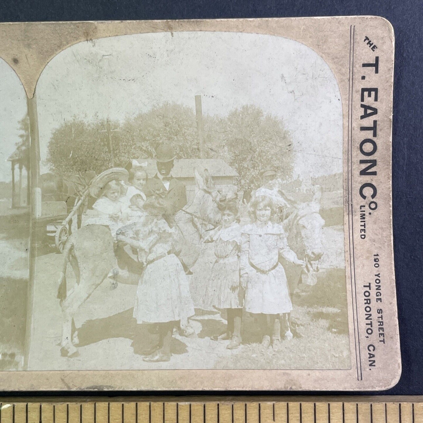 Crossmon House Thousands Islands NY Stereoview Timothy Eaton c1890s Y1720