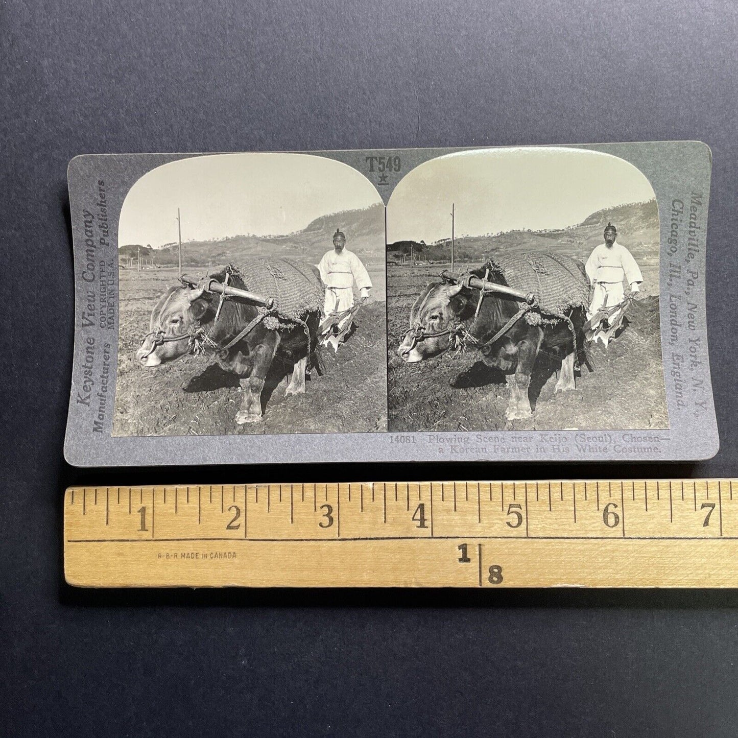 Antique 1901 Farmer Ploughing Field Seoul Korea Stereoview Photo Card P1790