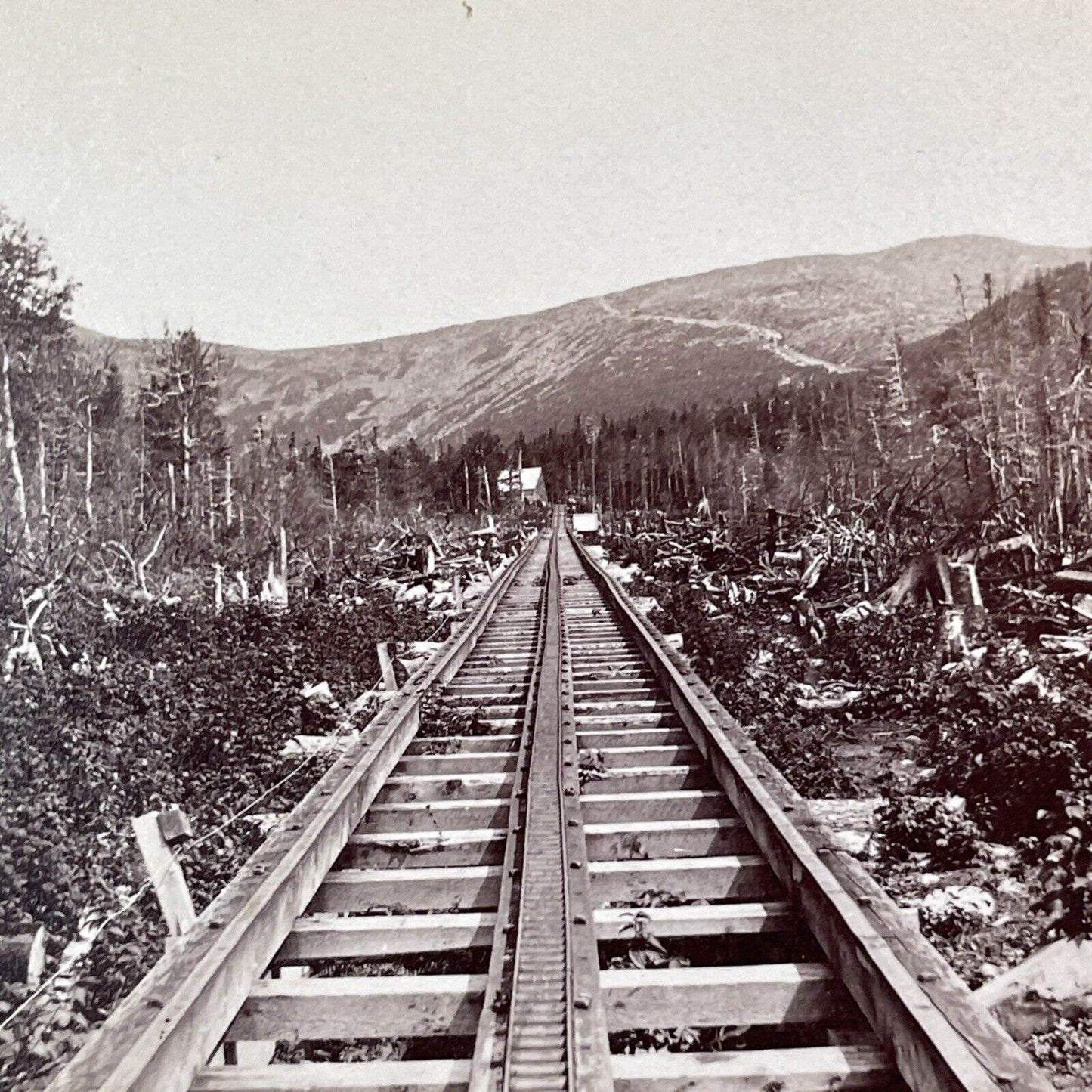 Mount Washington Cog Railroad Track Stereoview New Hampshire c1870s Y910